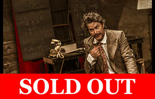 ctor portraying Albert Einstein seated in a study setting with chalkboards behind him, overlaid with a red “Sold Out” banner.