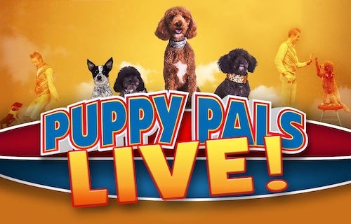 More Info for Puppy Pals LIVE!