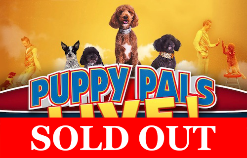 Promotional image for “Puppy Pals Live” featuring several dogs against a yellow background, with a red banner reading “Sold Out.”