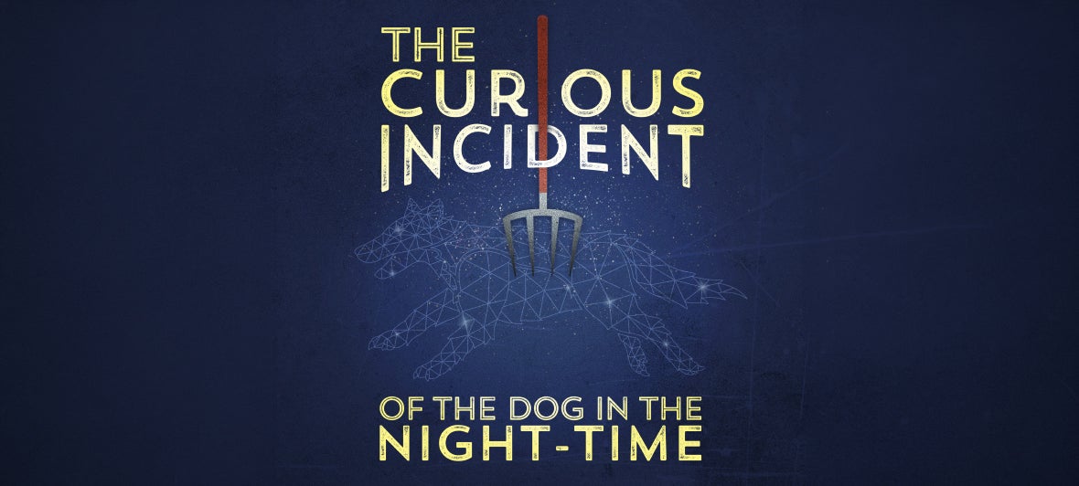 The Curious Incident of the Dog in the Night-Time