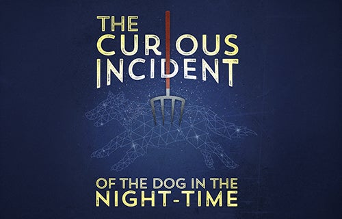 More Info for The Curious Incident of the Dog in the Night-Time